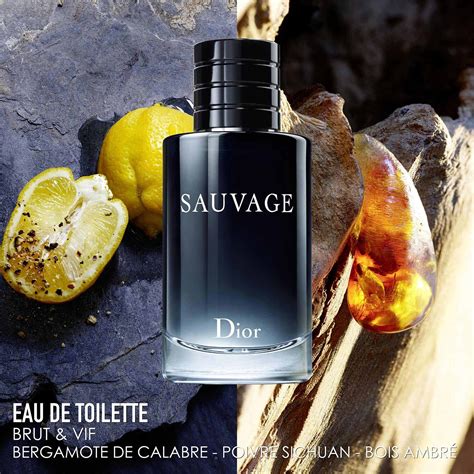 parfum homme dior sauvage 100 ml